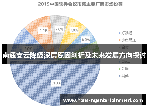南通支云降级深层原因剖析及未来发展方向探讨
