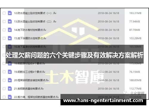 处理欠薪问题的六个关键步骤及有效解决方案解析