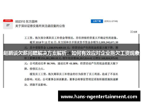 赵鹏谈欠薪问题解决方案解析：如何有效应对企业拖欠工资现象
