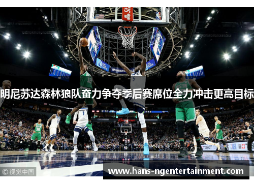 明尼苏达森林狼队奋力争夺季后赛席位全力冲击更高目标