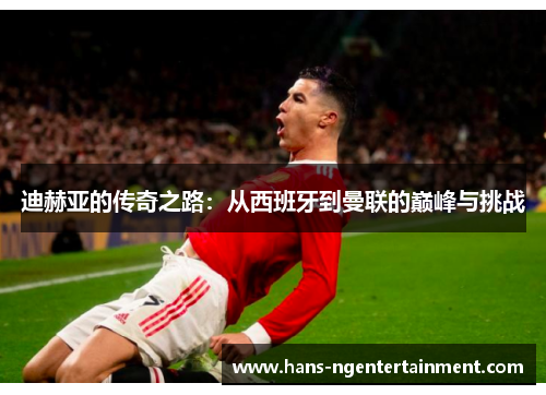 迪赫亚的传奇之路：从西班牙到曼联的巅峰与挑战